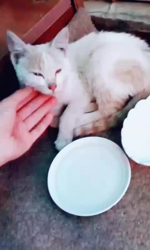@HASBINALLAH😊