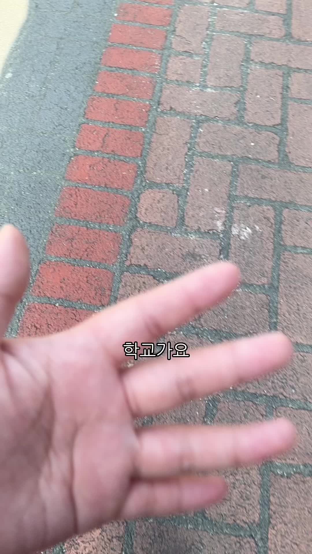 @사토단
