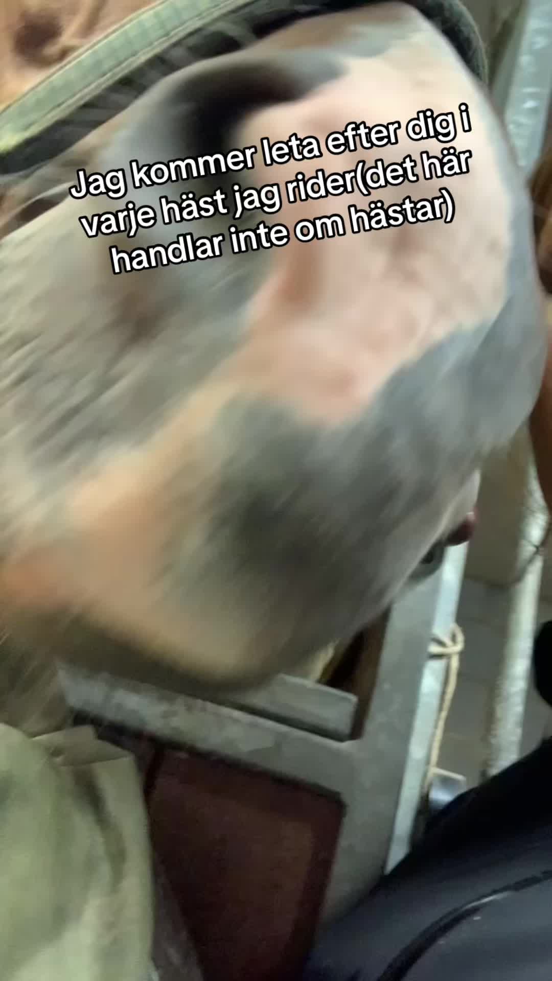 @Lilla my