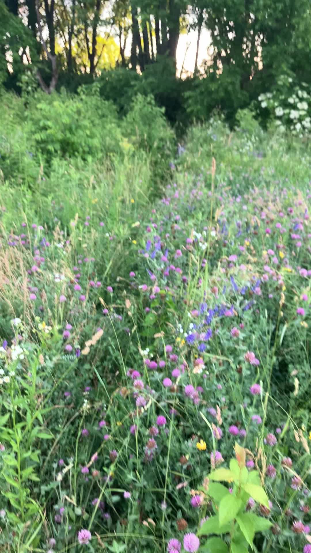 @Hikingwithstanley