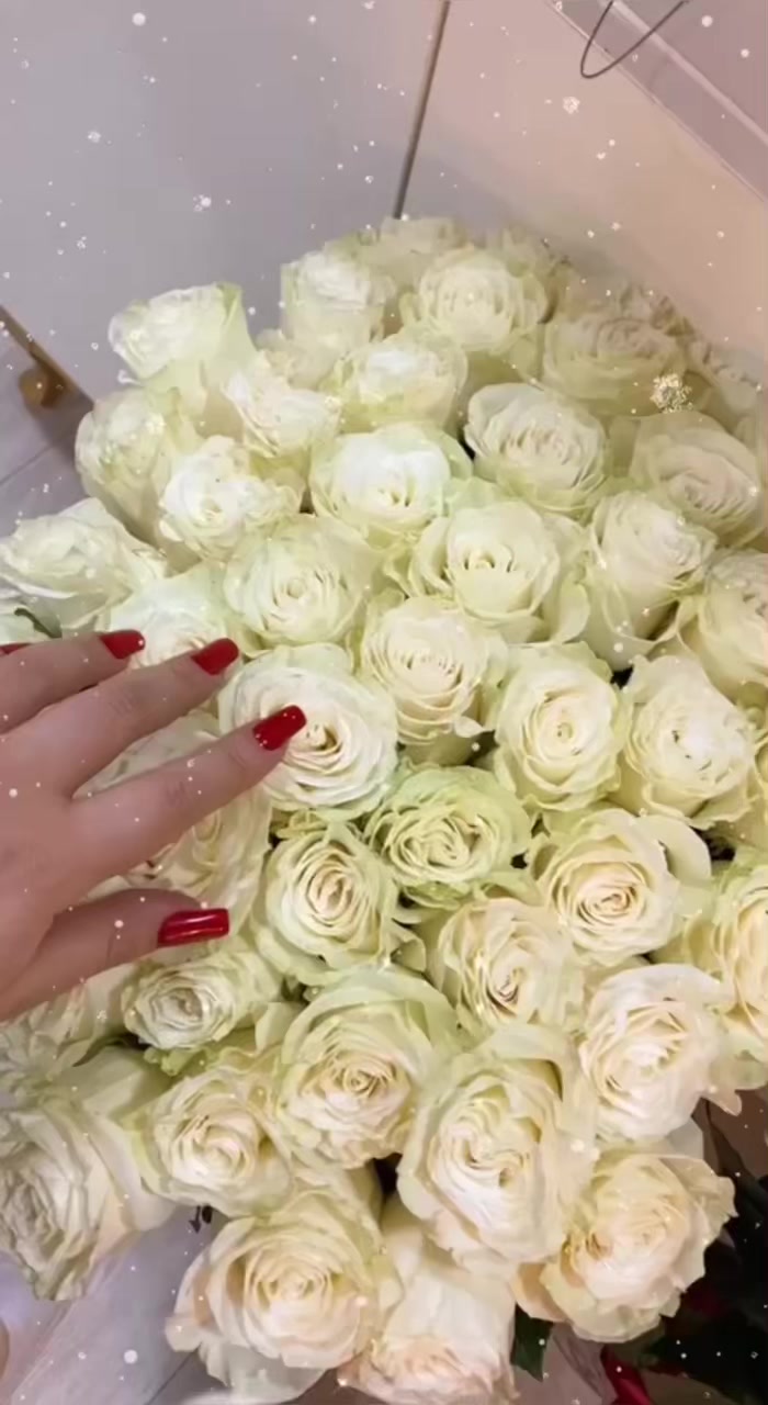 @Turkhann.A🧡
