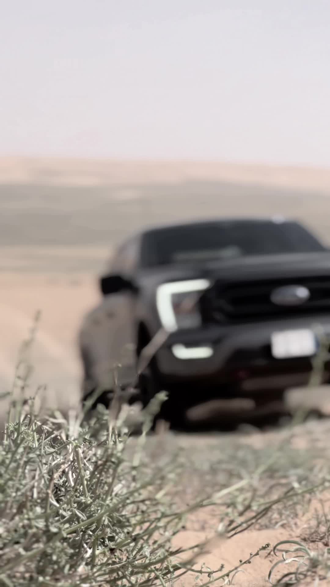 @F150-GT350