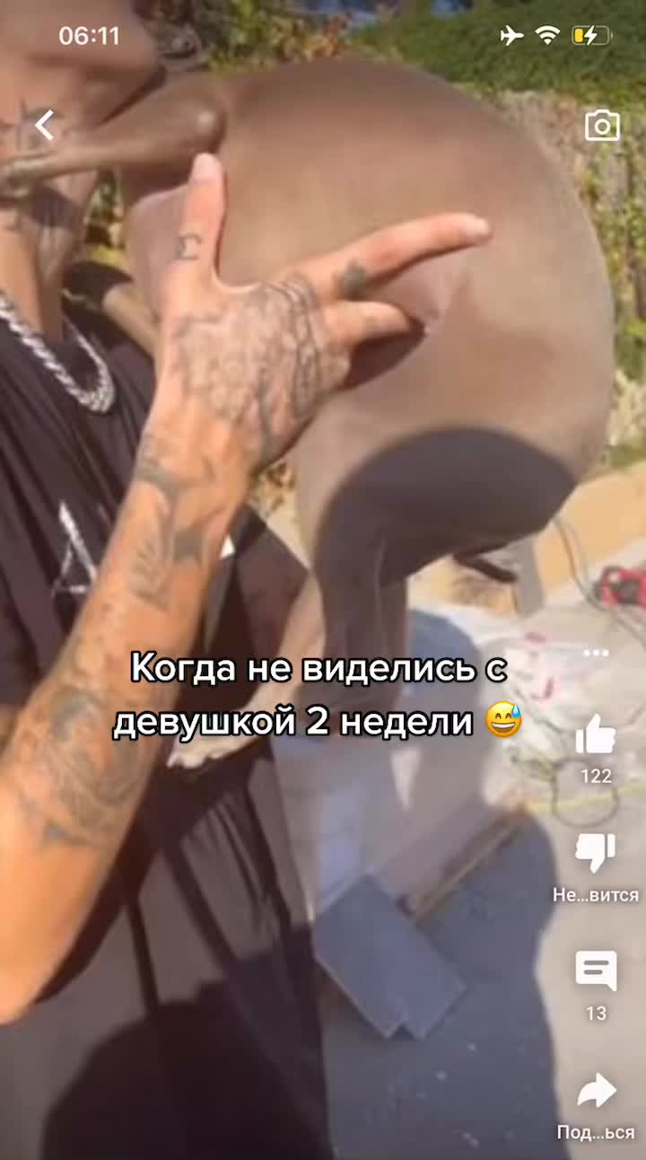 @Golovokrut