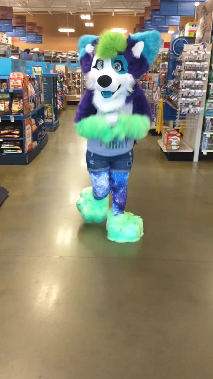 @Luna Husky