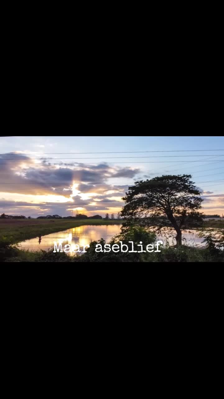 @M.J.A Serfontein