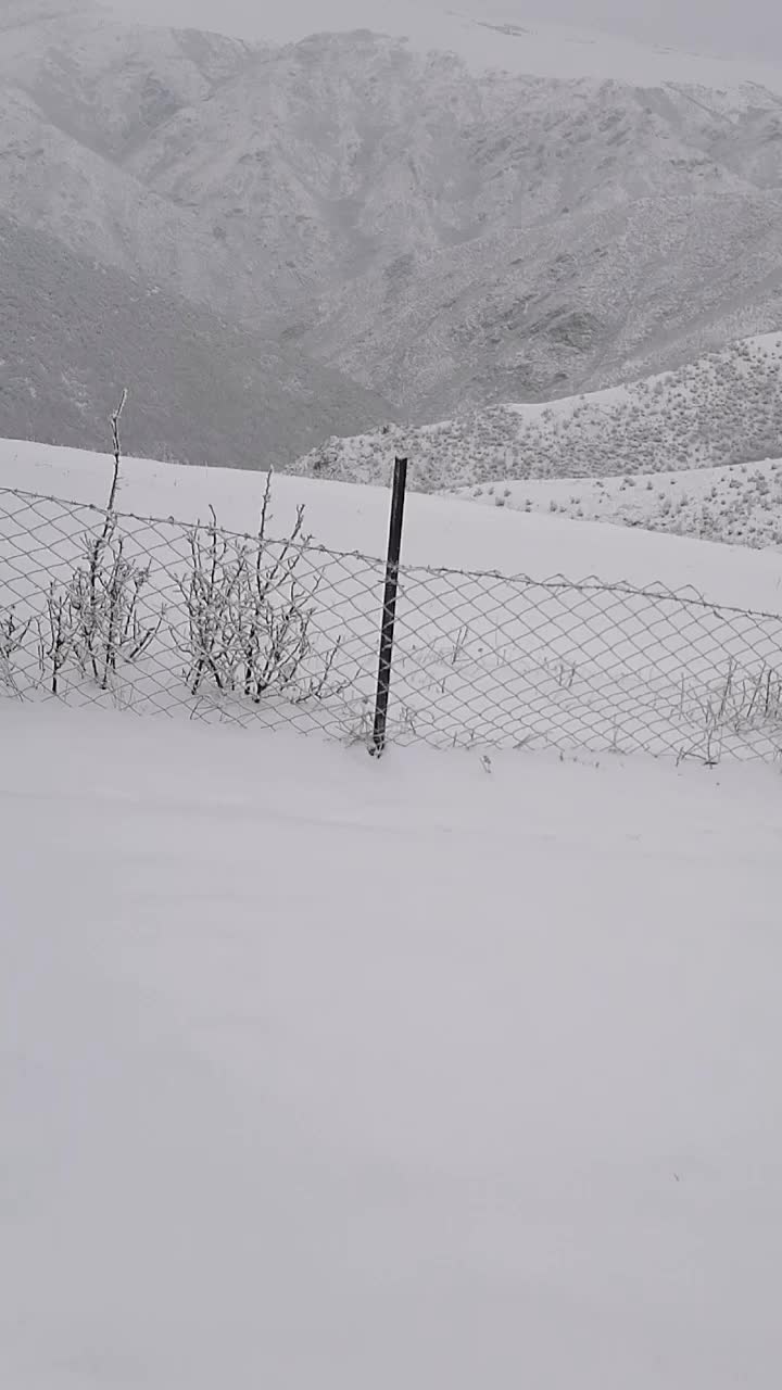 @CEBI SEMKIRISKI 57