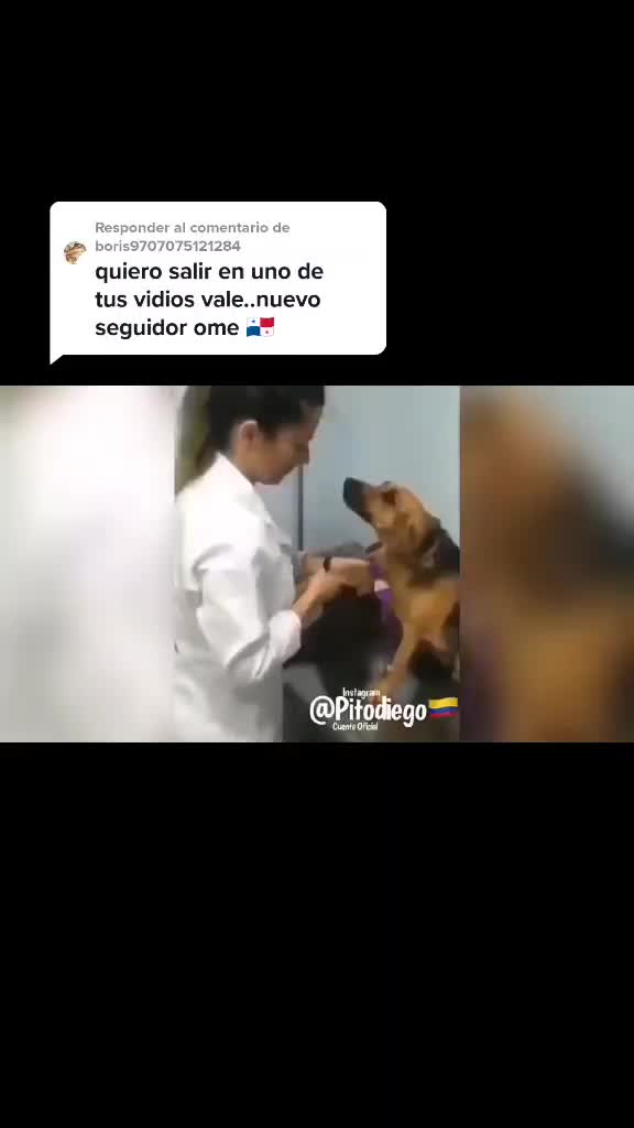 @Luan QC