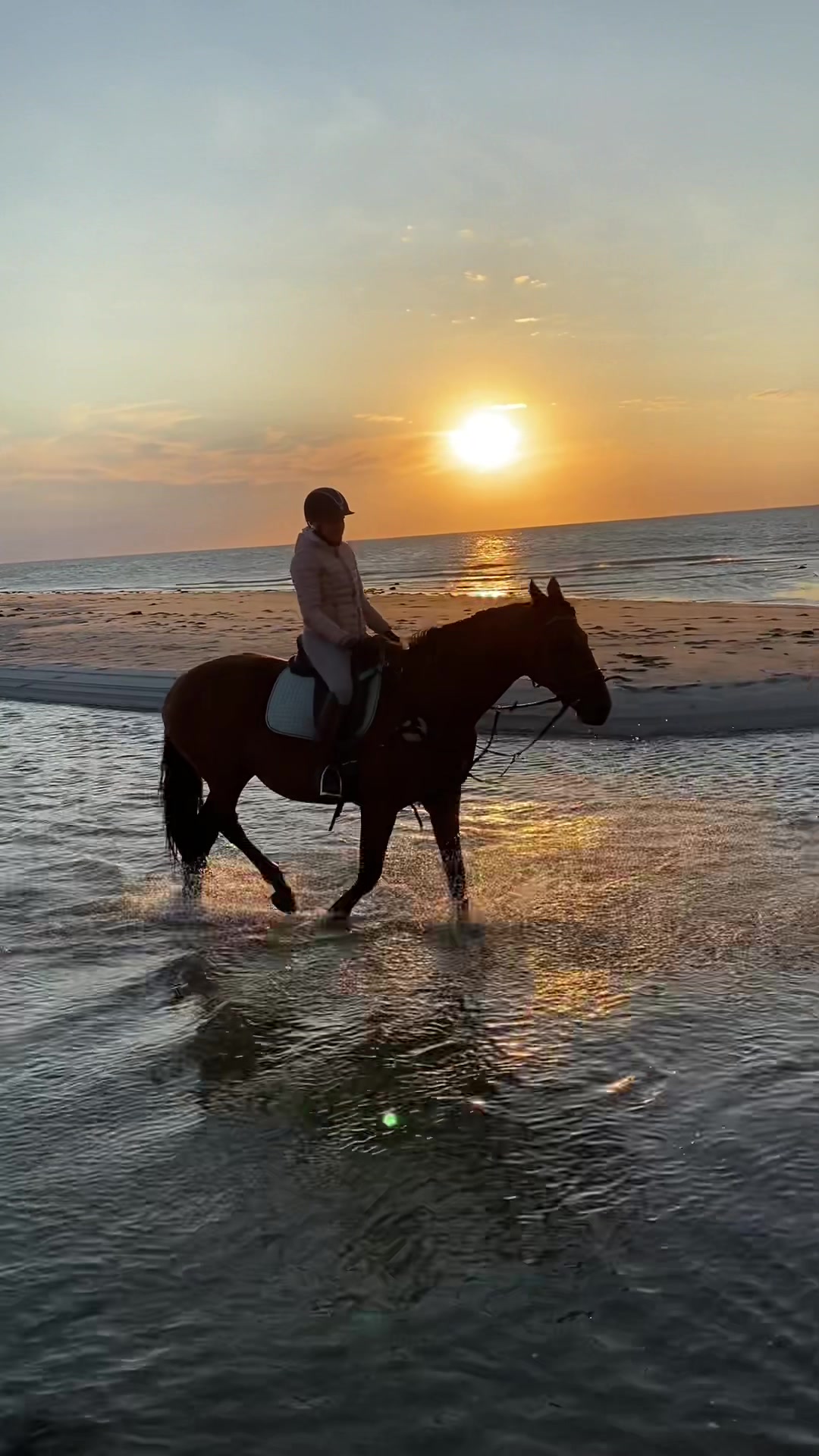 @reiterhof.andresen.amrum