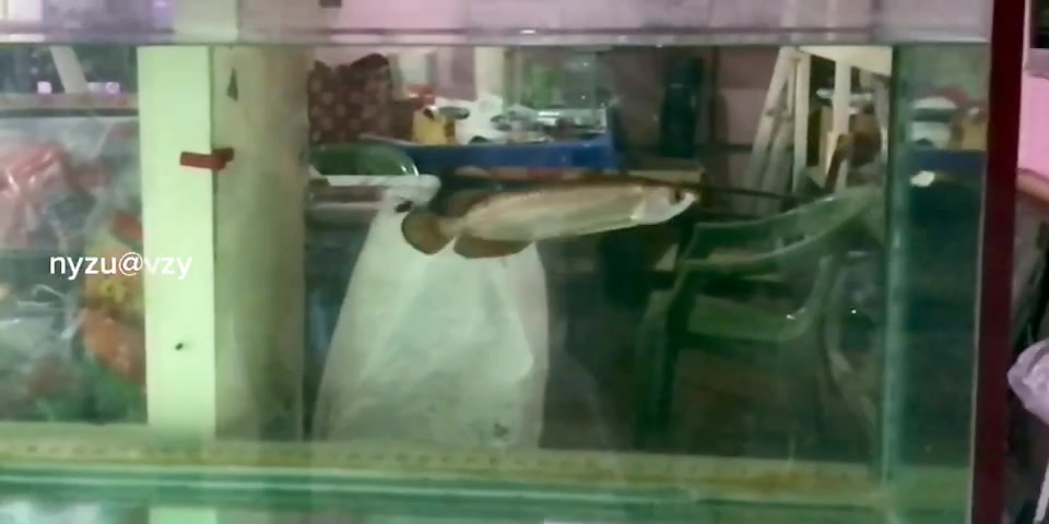 @nyzu_nizam