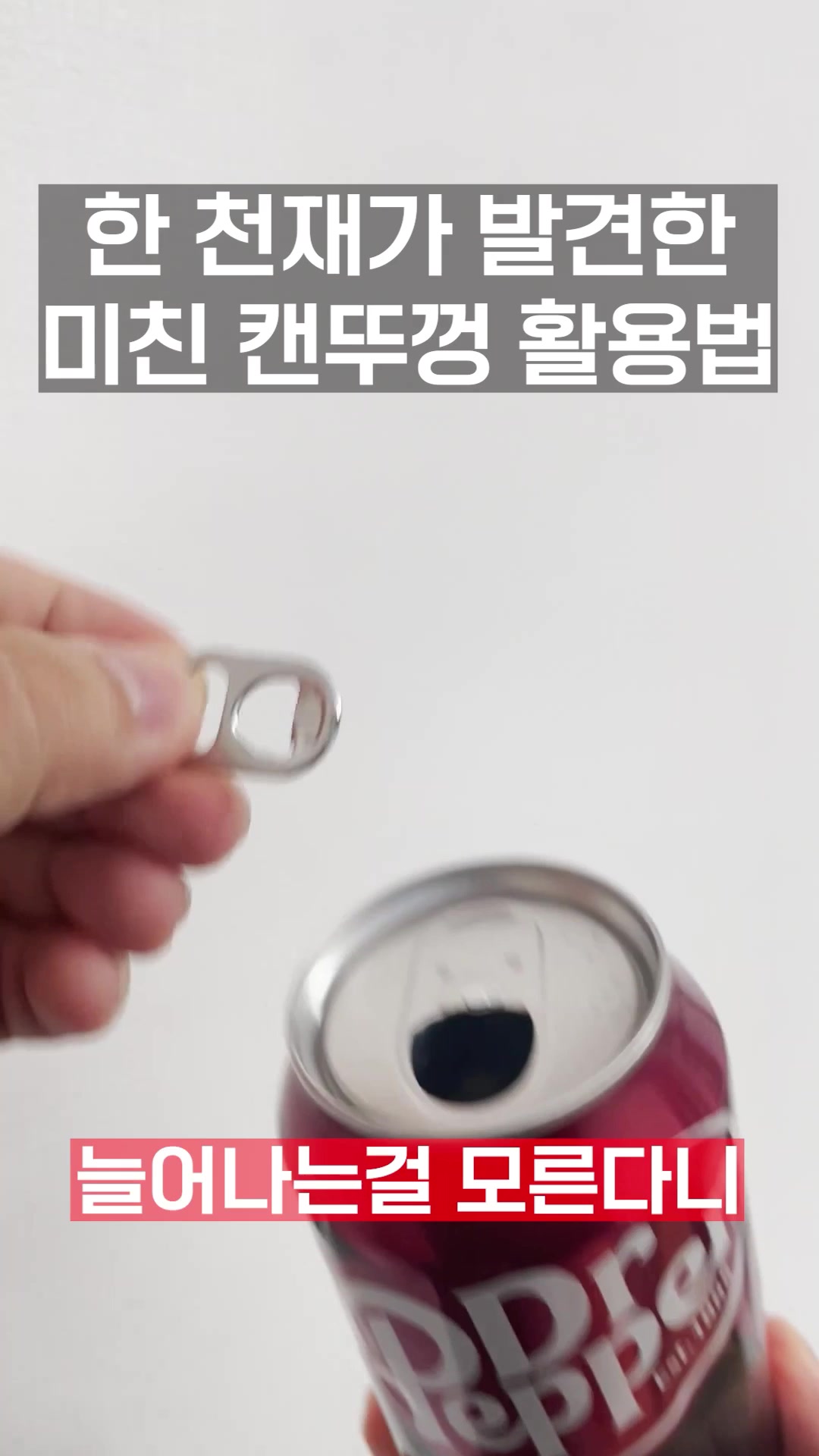 @터키아이스살림