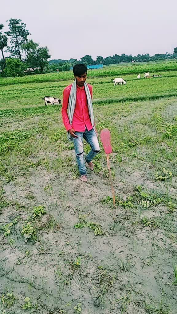@MD Aasik