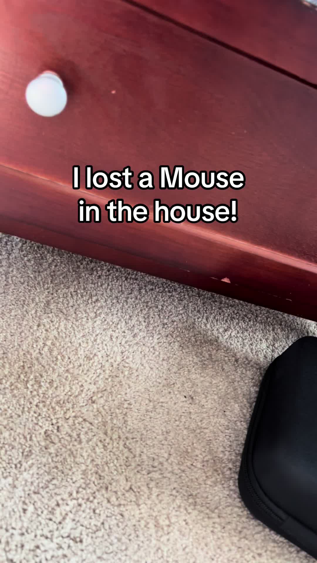 @goober_and_the_mouse