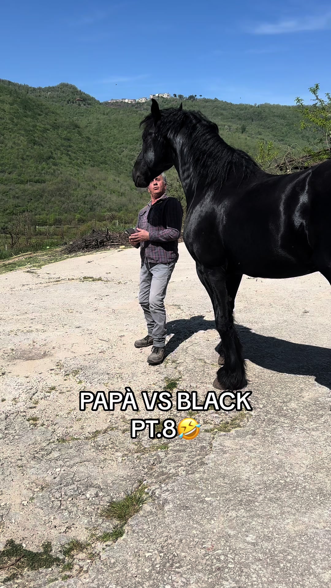 @black_the_friesian