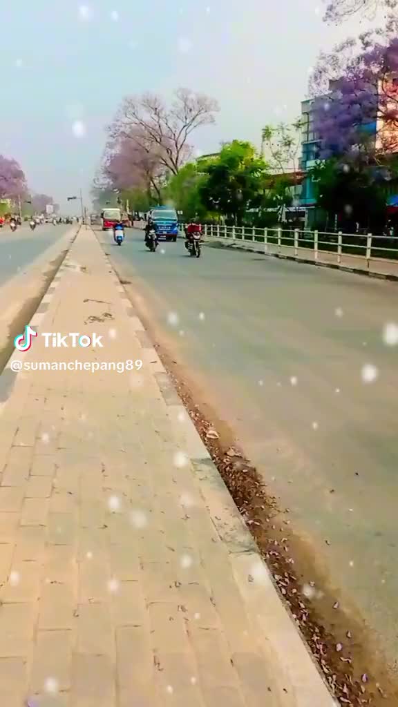 @robinsunar285