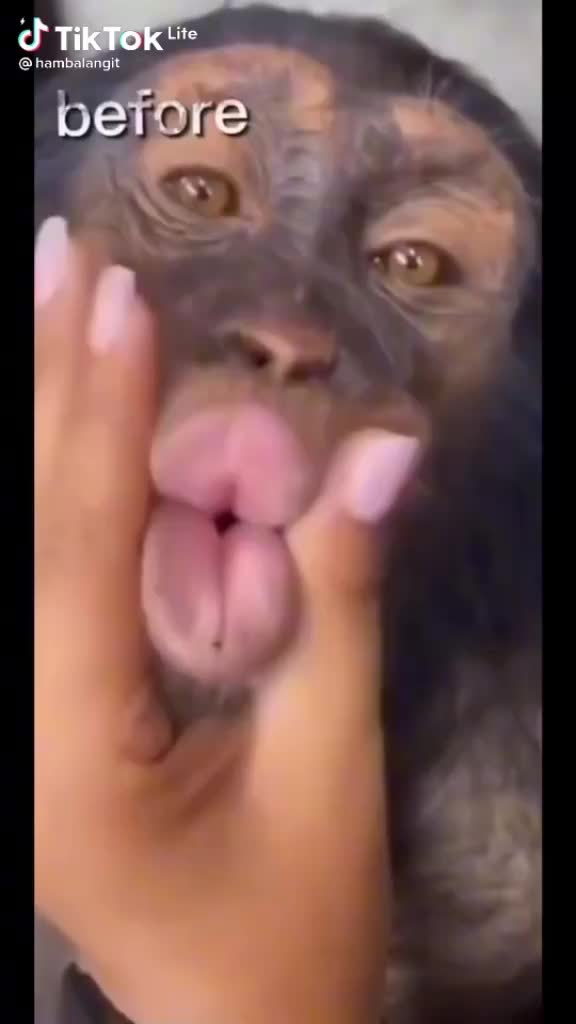 @Milaaan