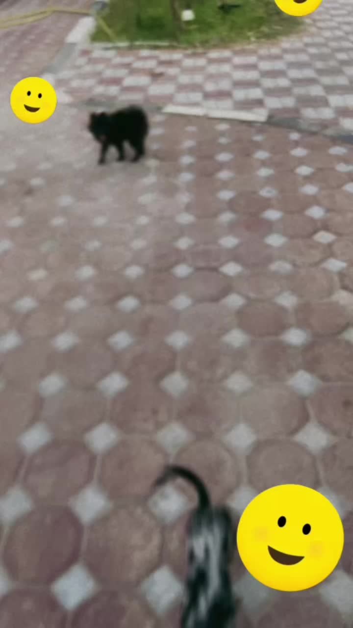 @7ggg
