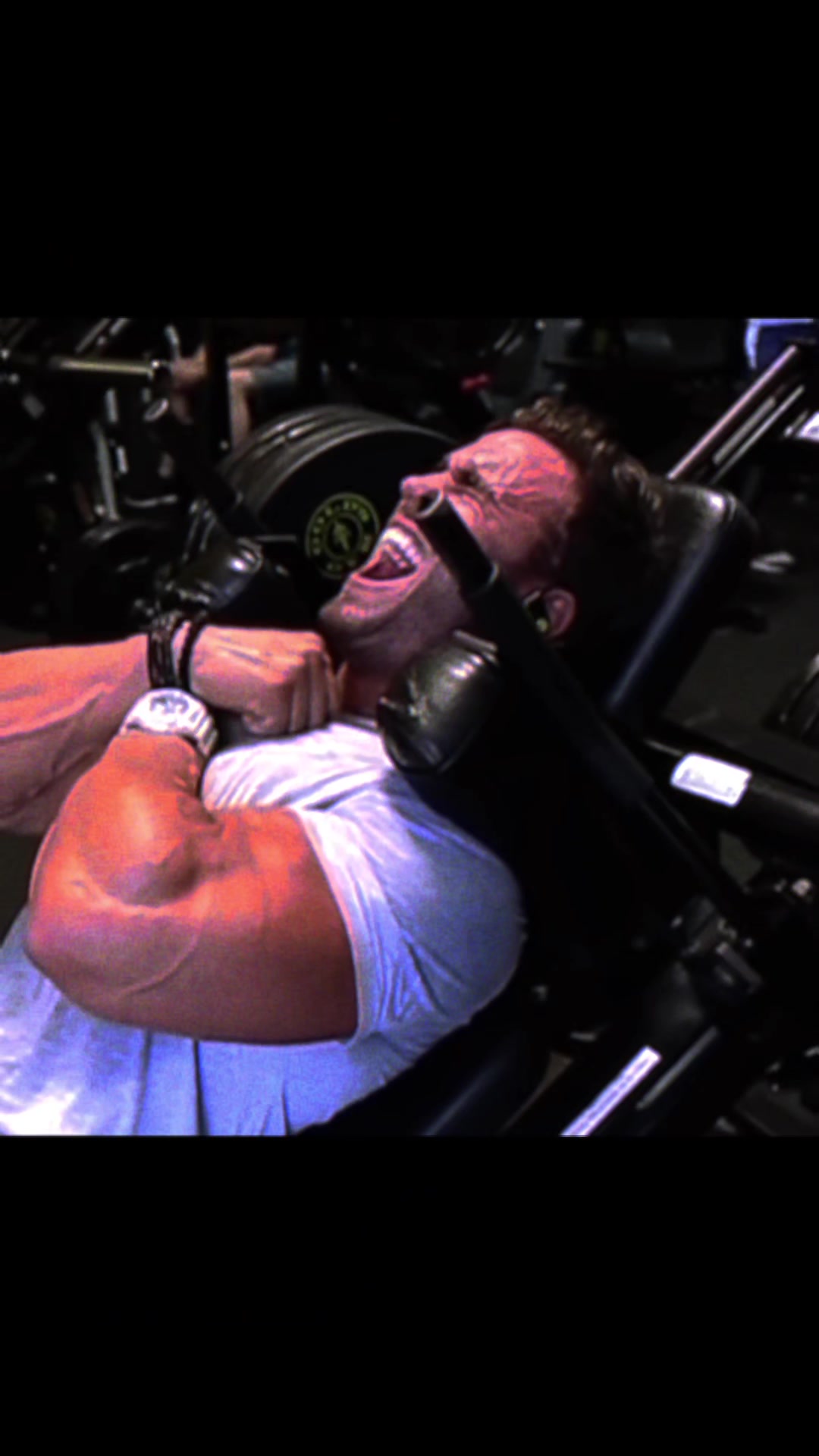 @Zyzz