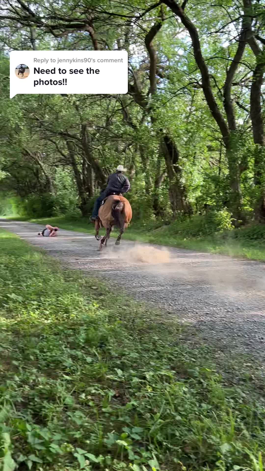 @Maureen | Equine Photographer