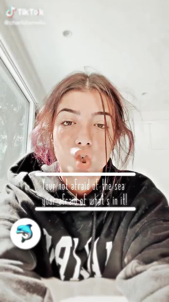 @🌿𝚌𝚑𝚊𝚛𝚕𝚒 𝚒𝚜 𝚋𝚊𝚎🌿