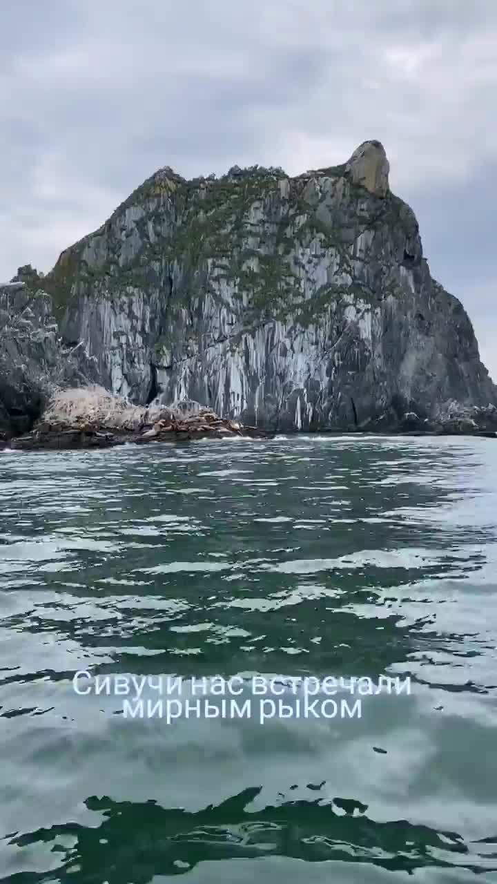 @Камчатка на ладони