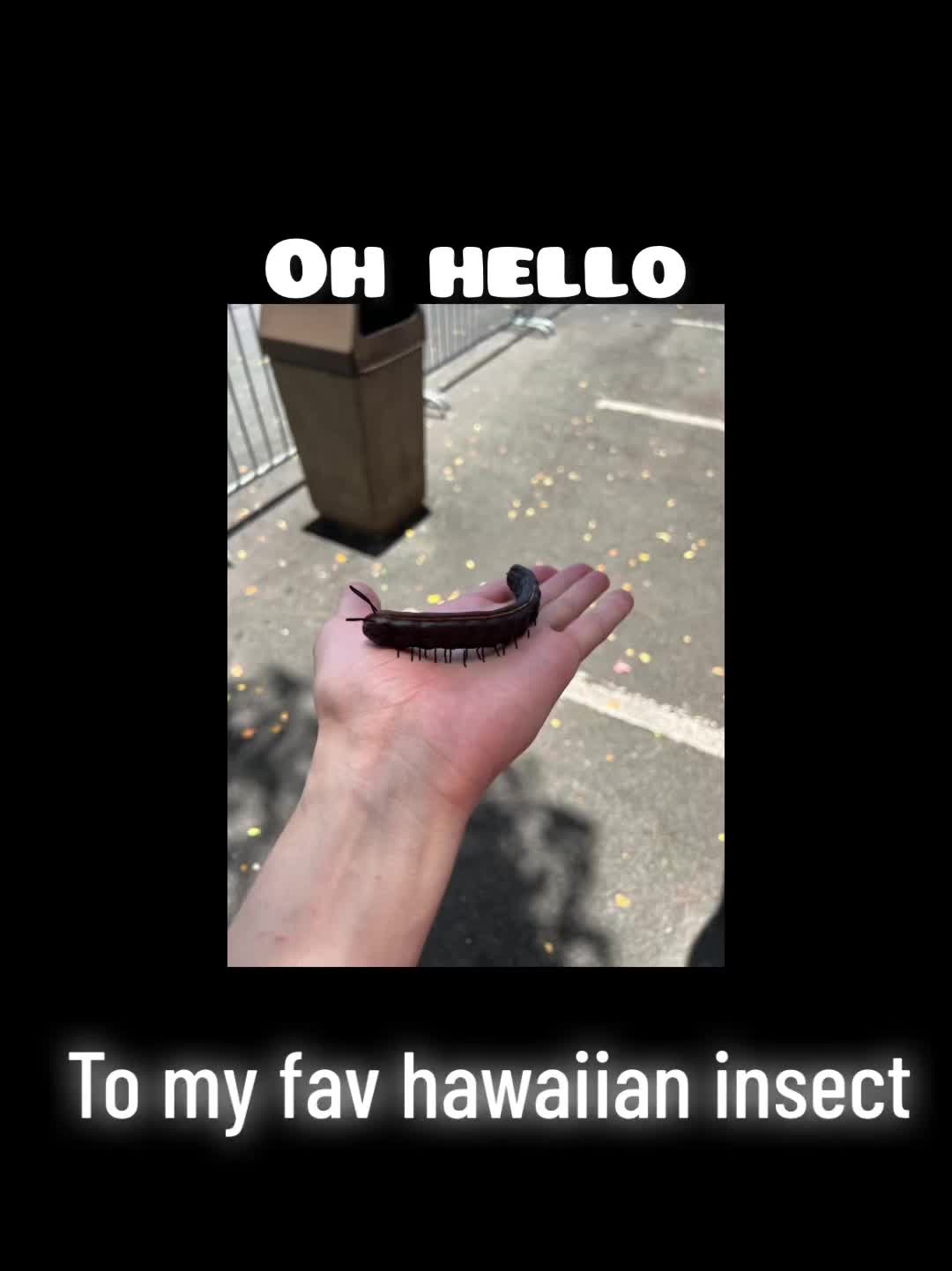 @seanArlo