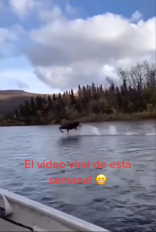 @MIEDO