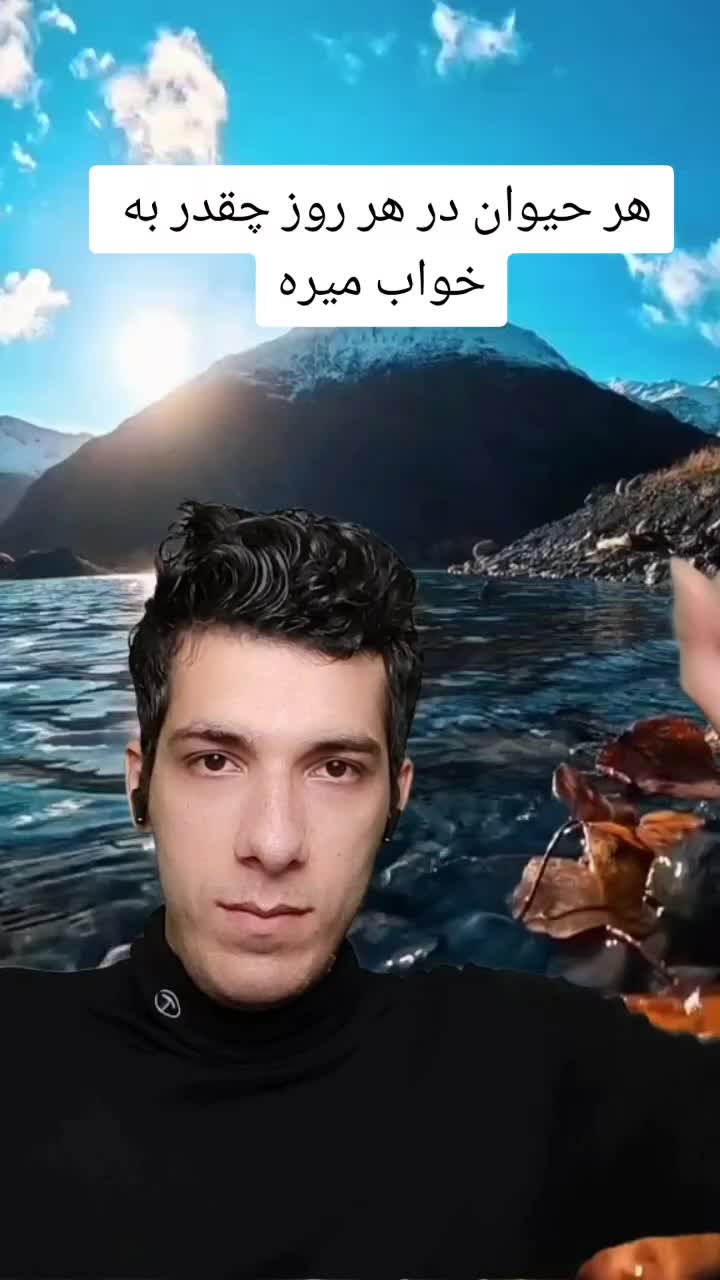 @Sina