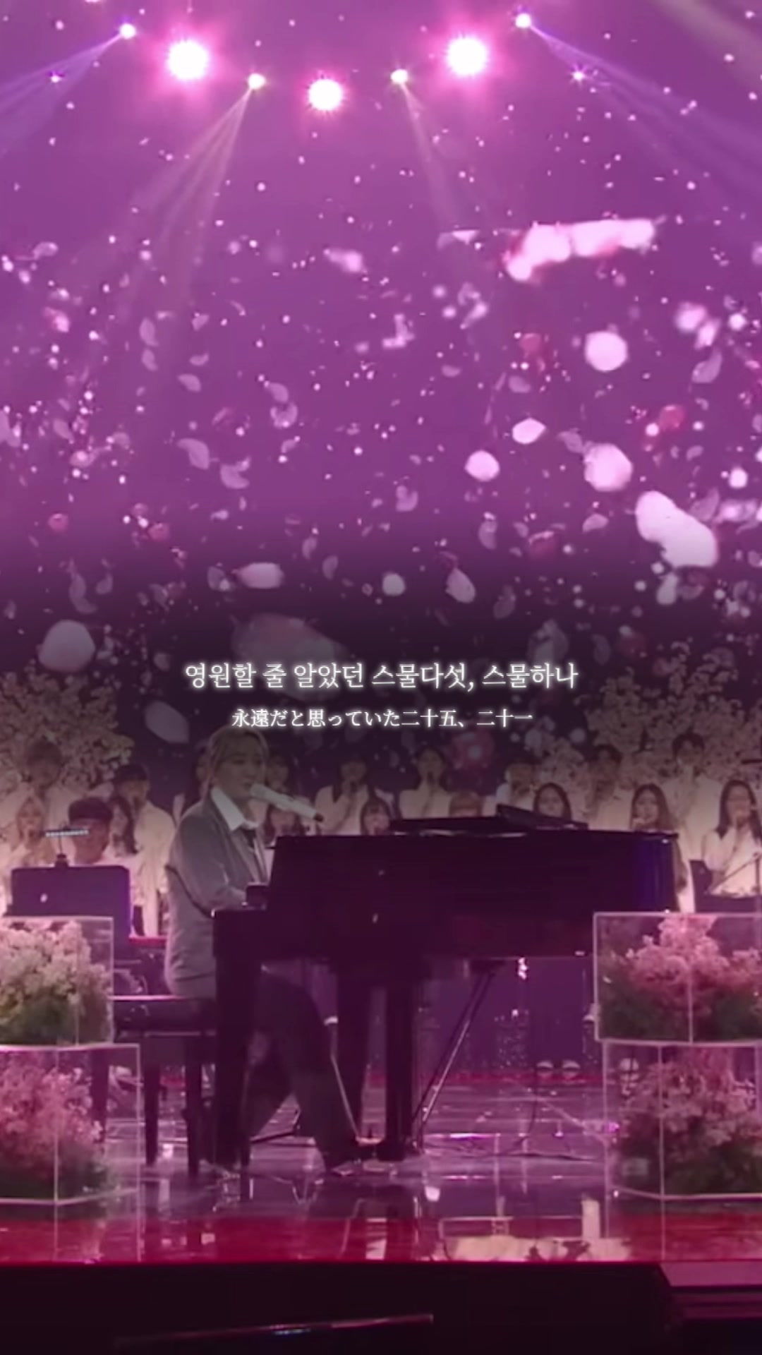 @도도솔솔라라솔🎵