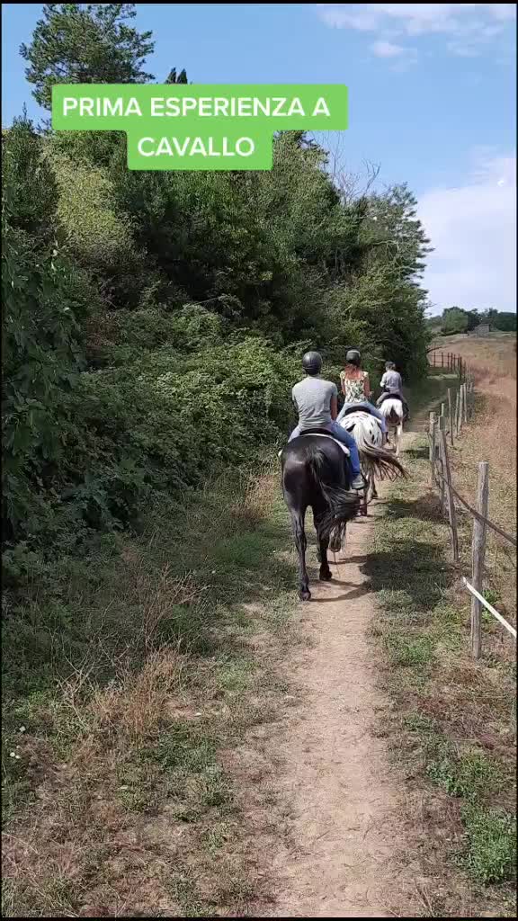 @viaggiainsiemeameblo