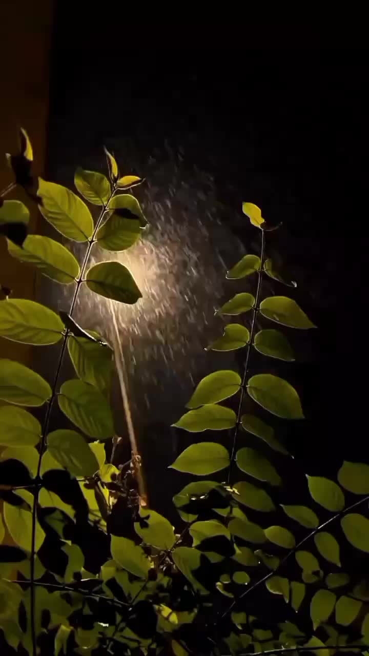 @♡ᴹᴱᴱᴿ ᴱᴰᴵᵀˢ♪