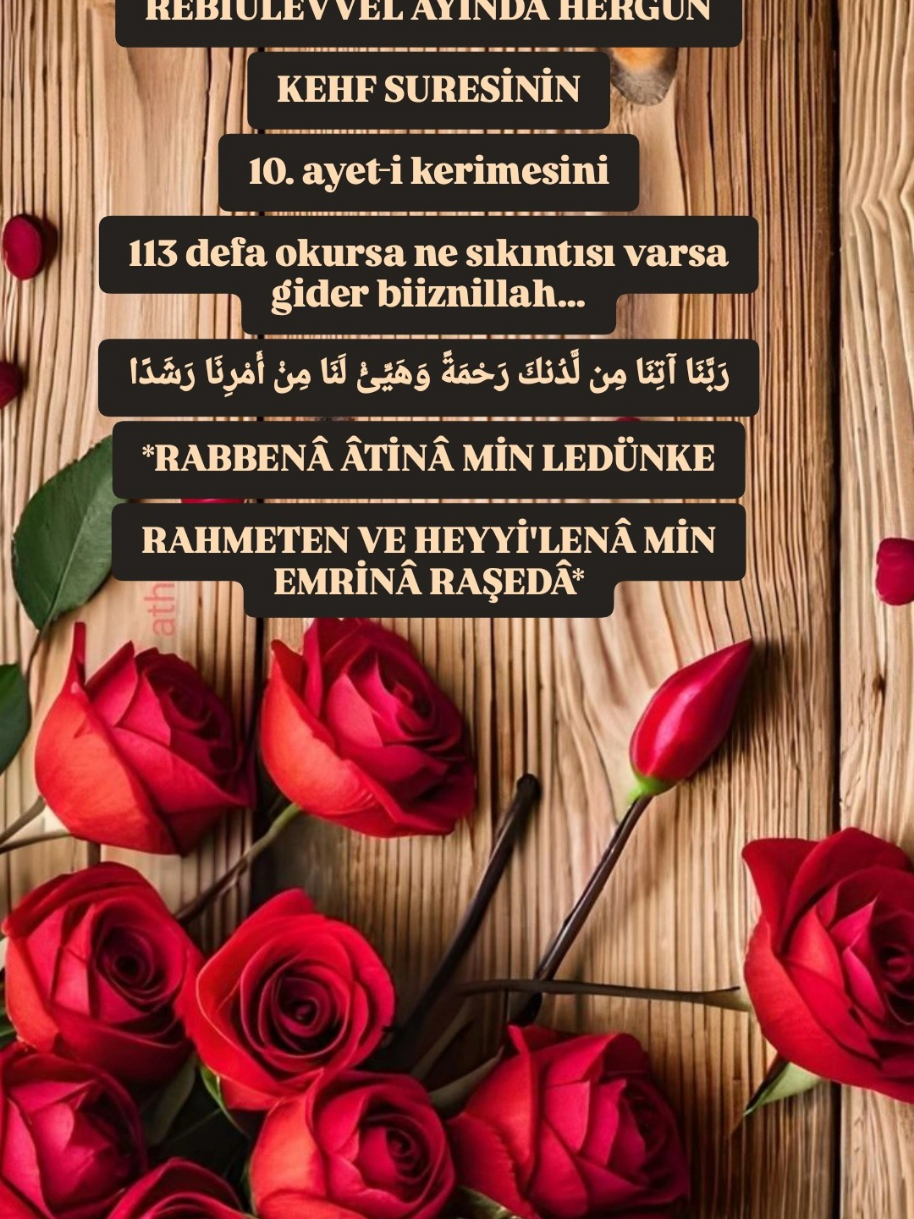 @hayat nereye gidiyor