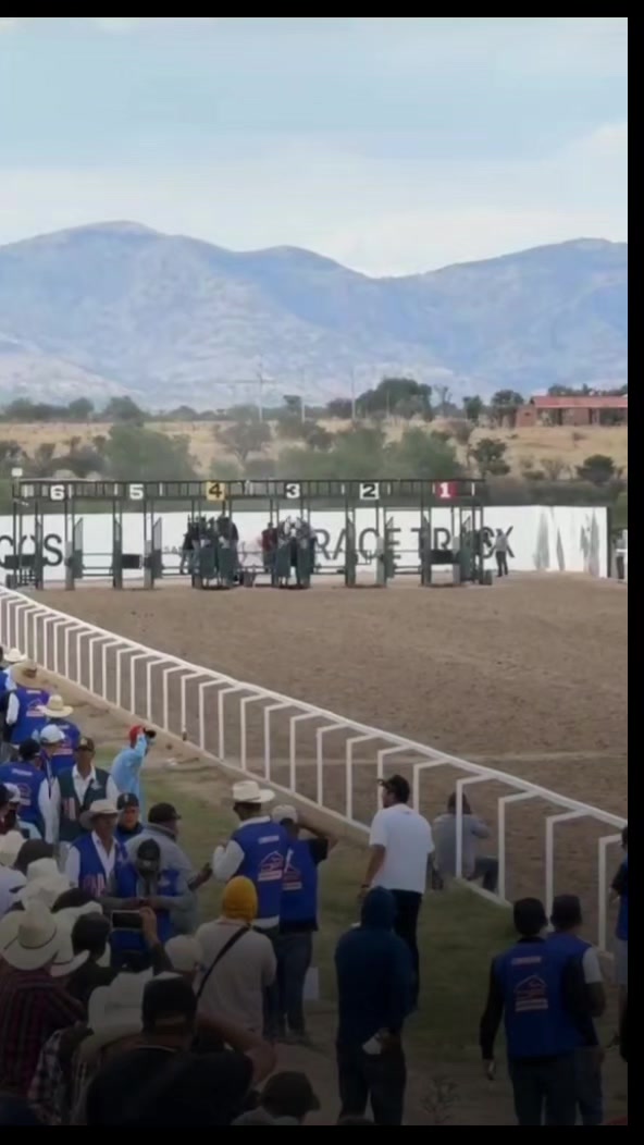 @carriles altos de jalisco🐎