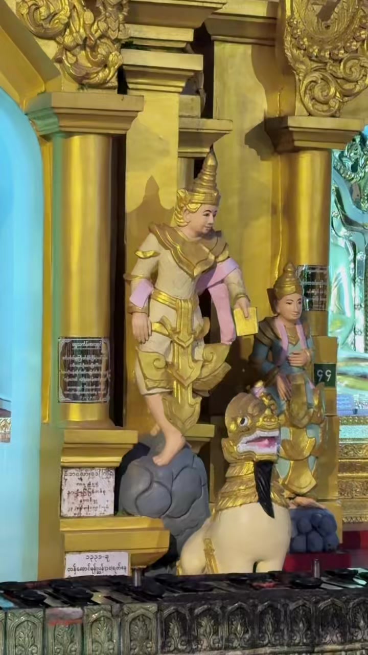 @sankoko