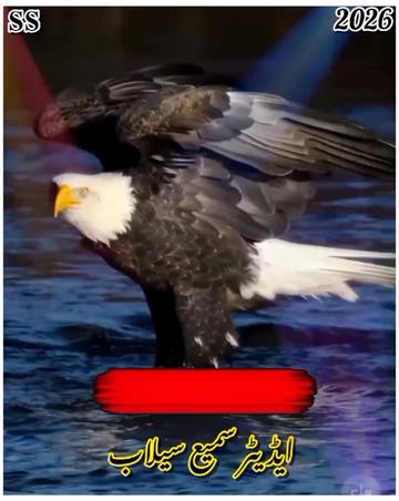 @꧁༺𝐬𝐚𝐦𝐢 𝐬𝐞𝐥𝐚𝐛༻꧂