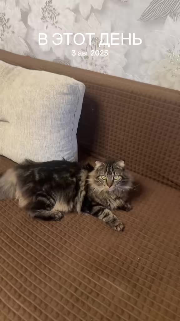 @Анна