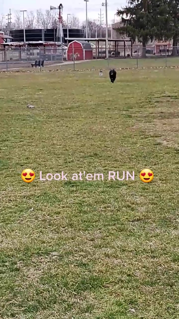 @Karnes Ranch of Indiana🦆