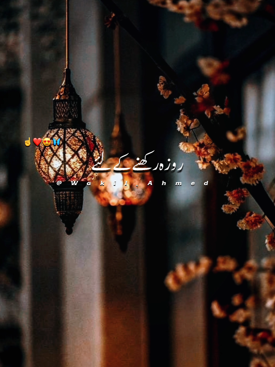 @wakilahmed