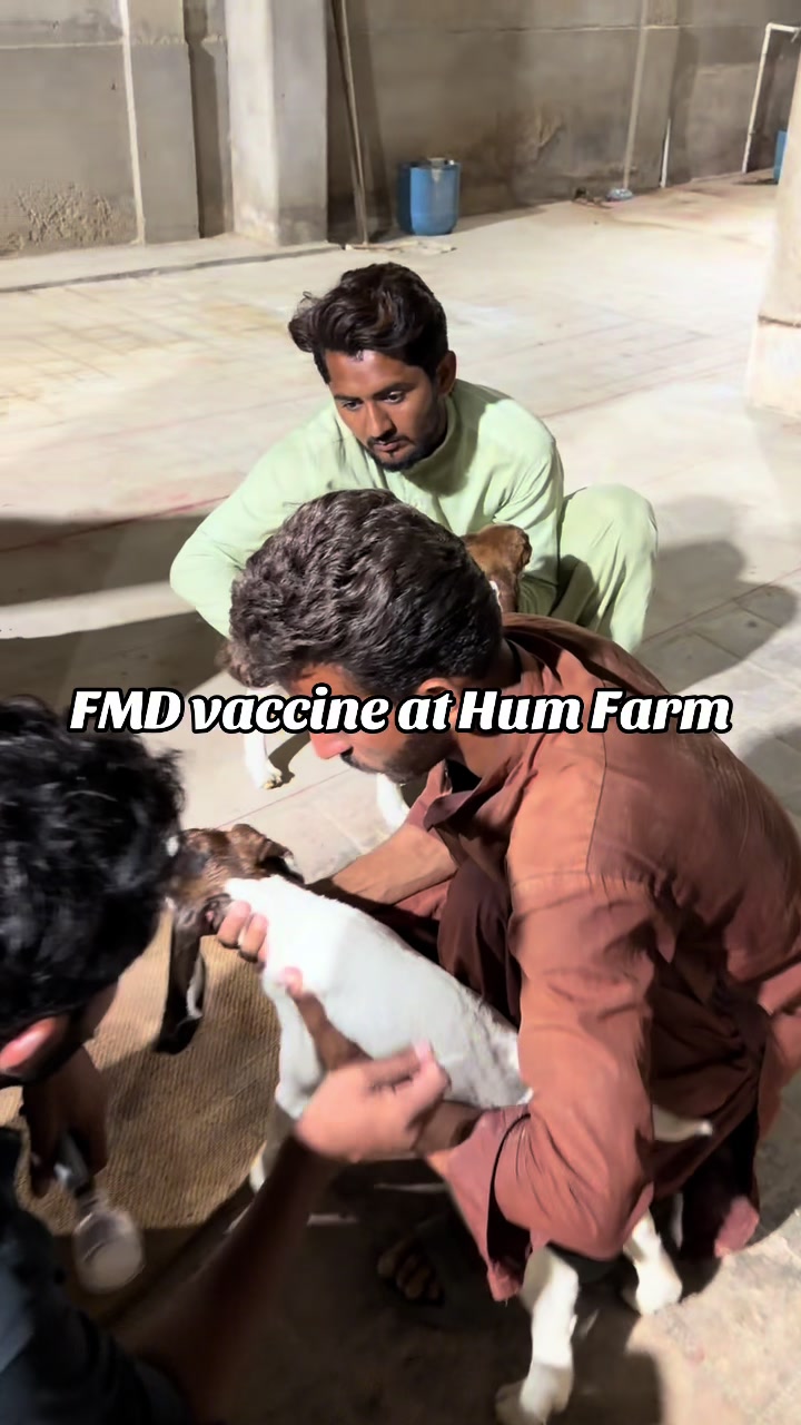 @Hum Farm