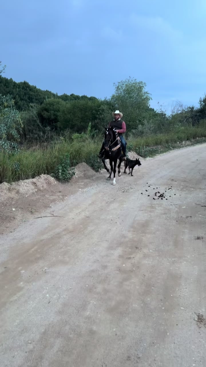 @Jos&eacute; Fonseca