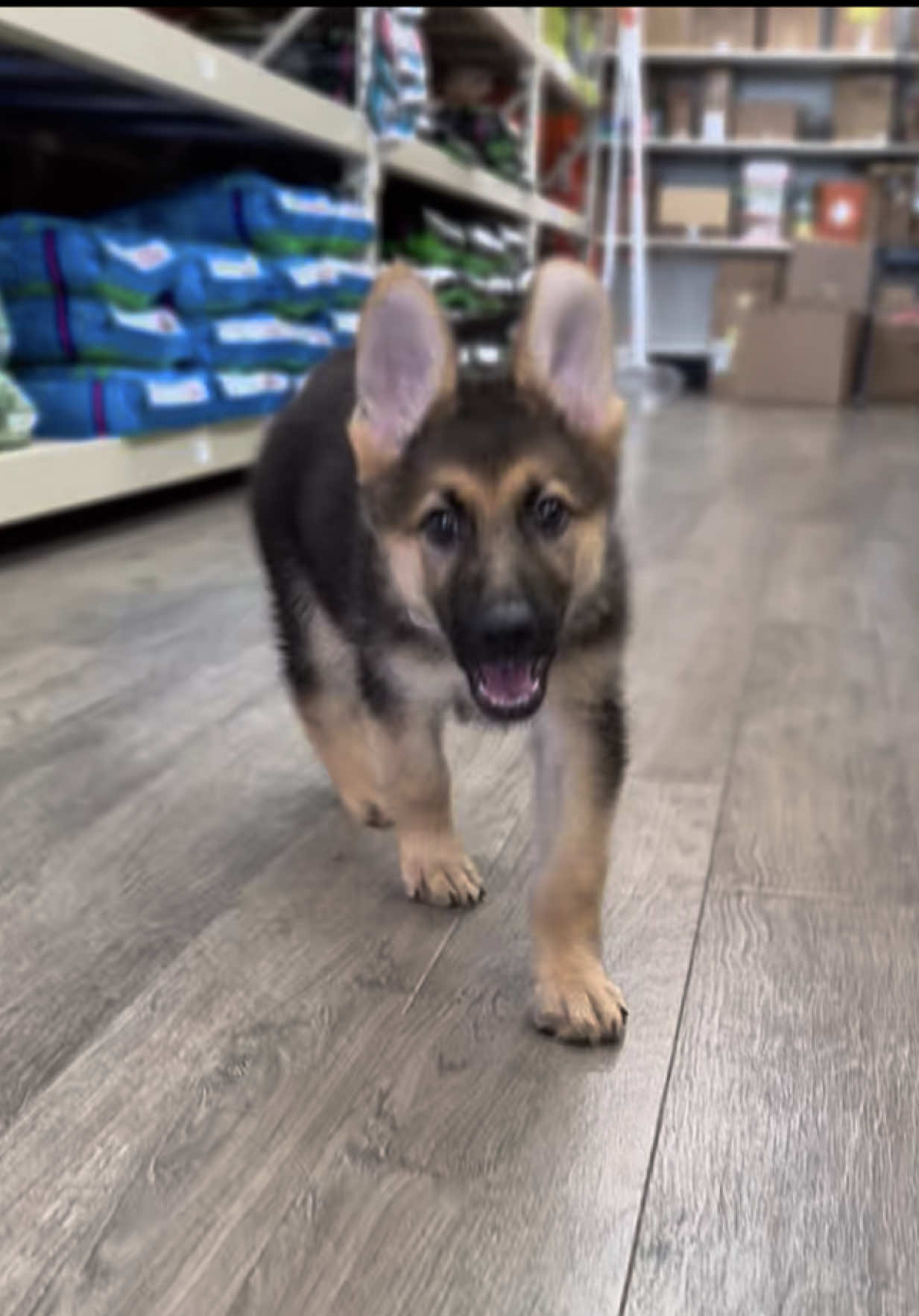 @Petland Oklahoma City