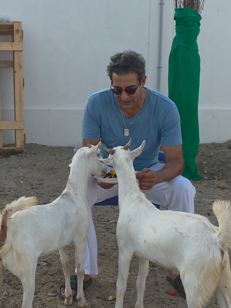 @Wasim Akram