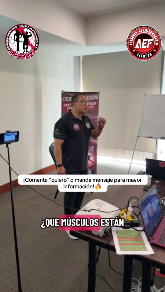 @aef_internacional
