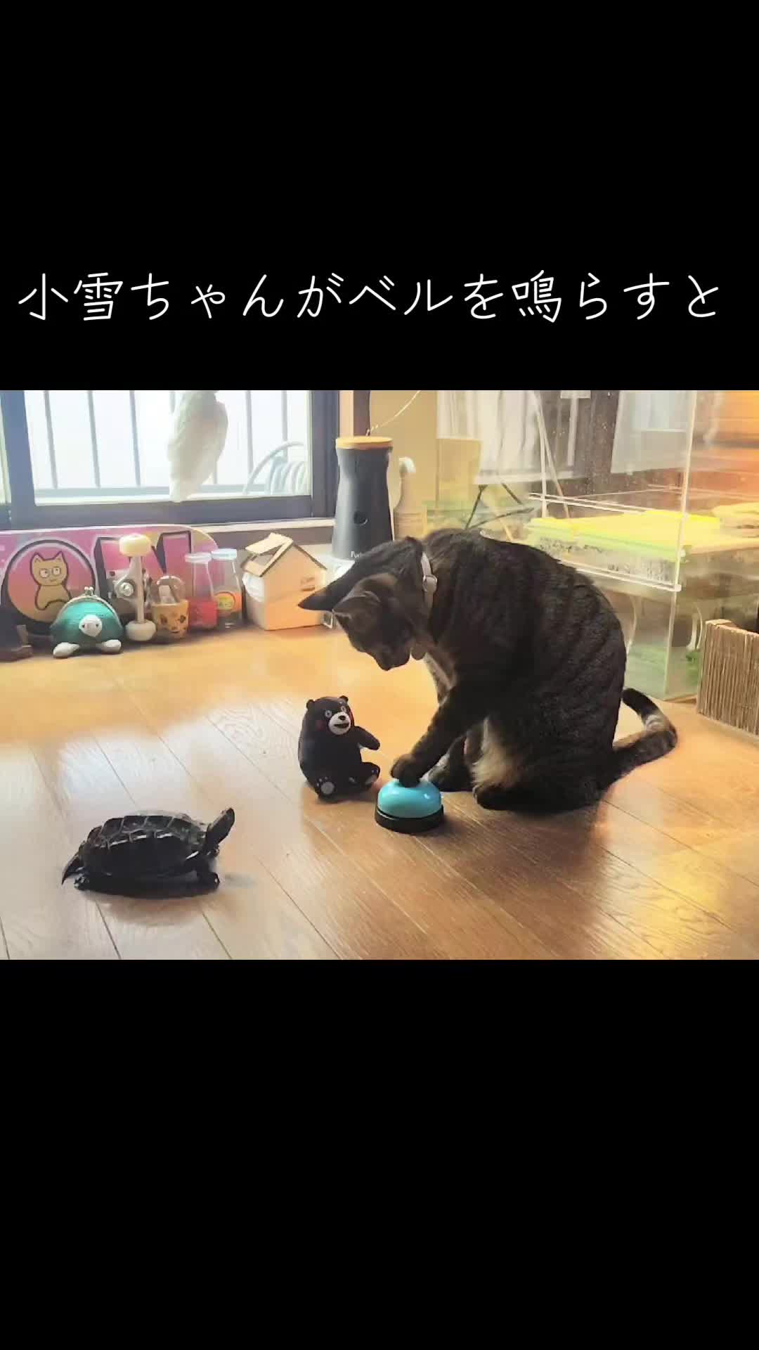 @クサガメ軍曹🐢