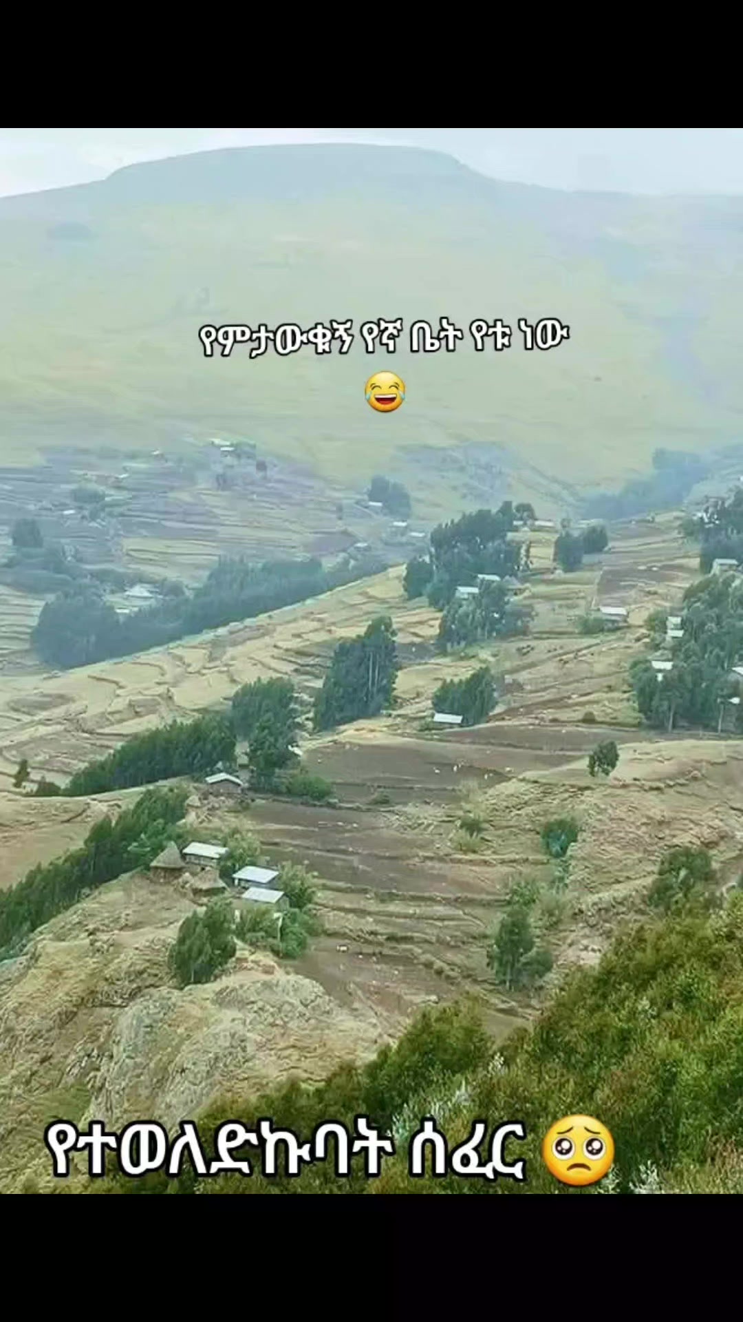 @ፀሐይ ጎንደሬዋ የአፄዎቹ ልጅ 🦁❤️