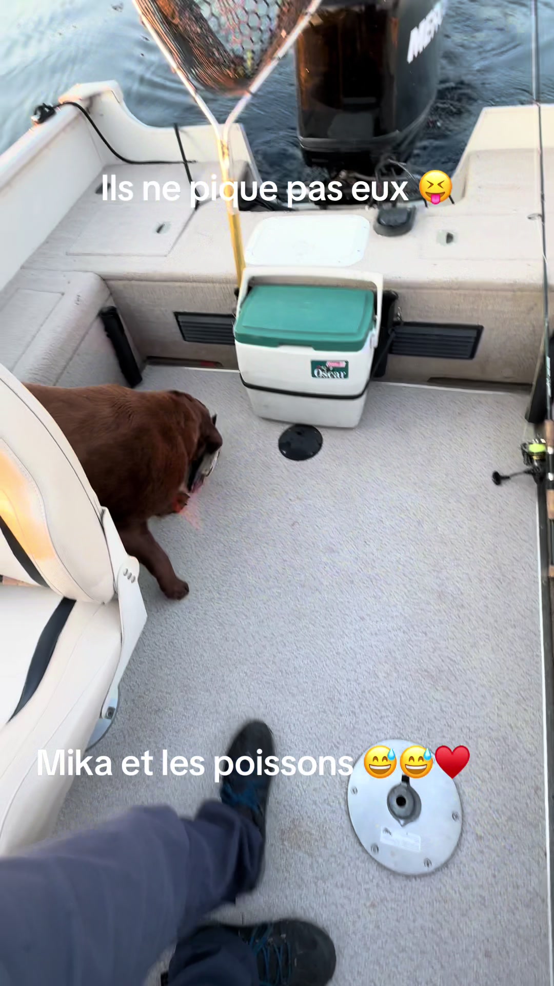 @Stéph_Mika ☀️🐕🦺🏔️🚍