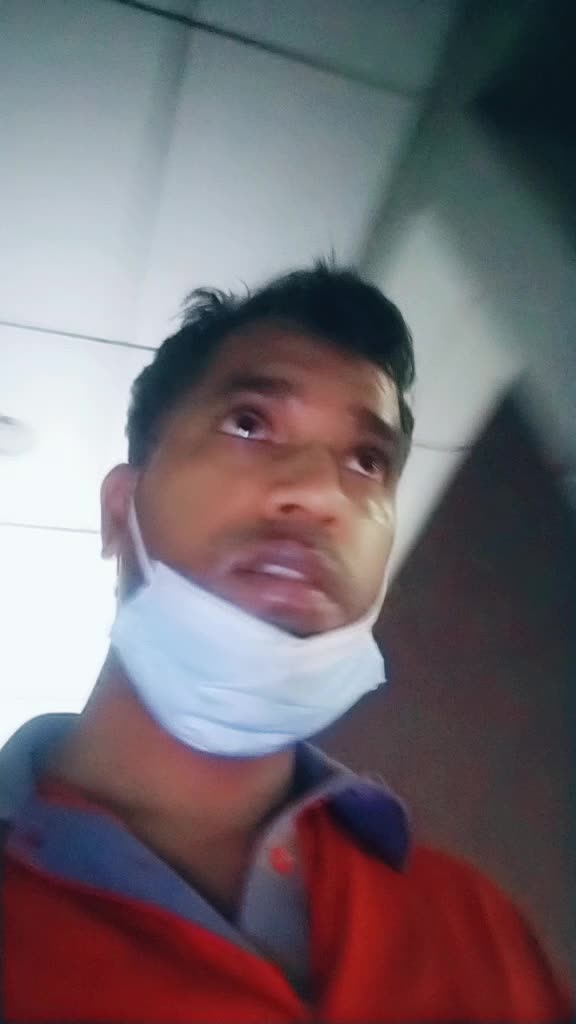@d.p.petwal