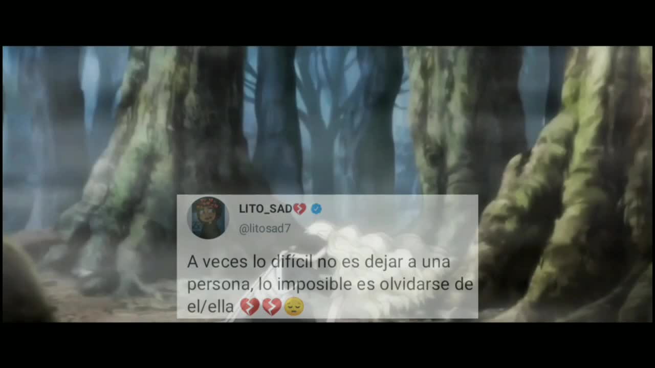 @LITO_SAD