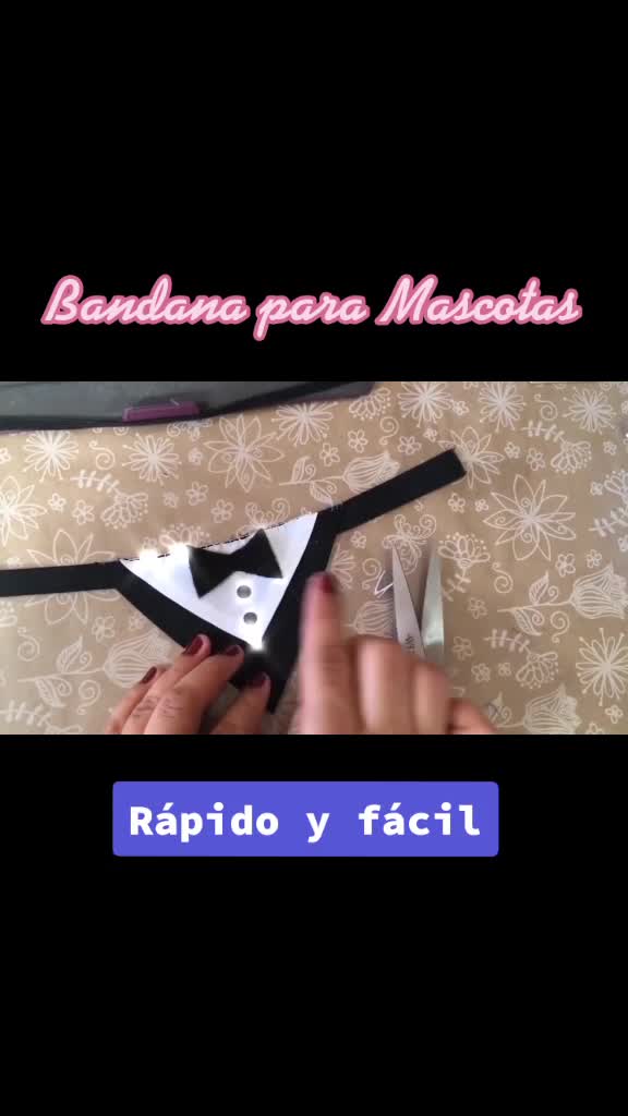 @Mascotas Fashion