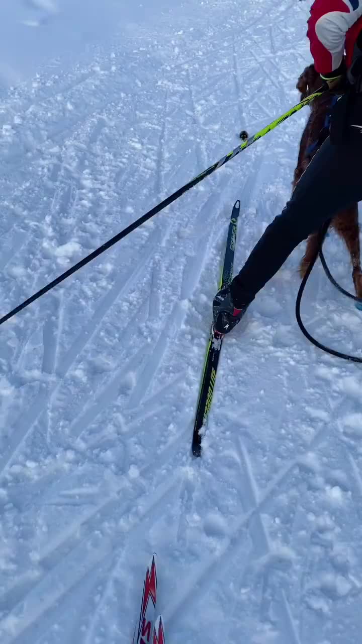 @Snowverb