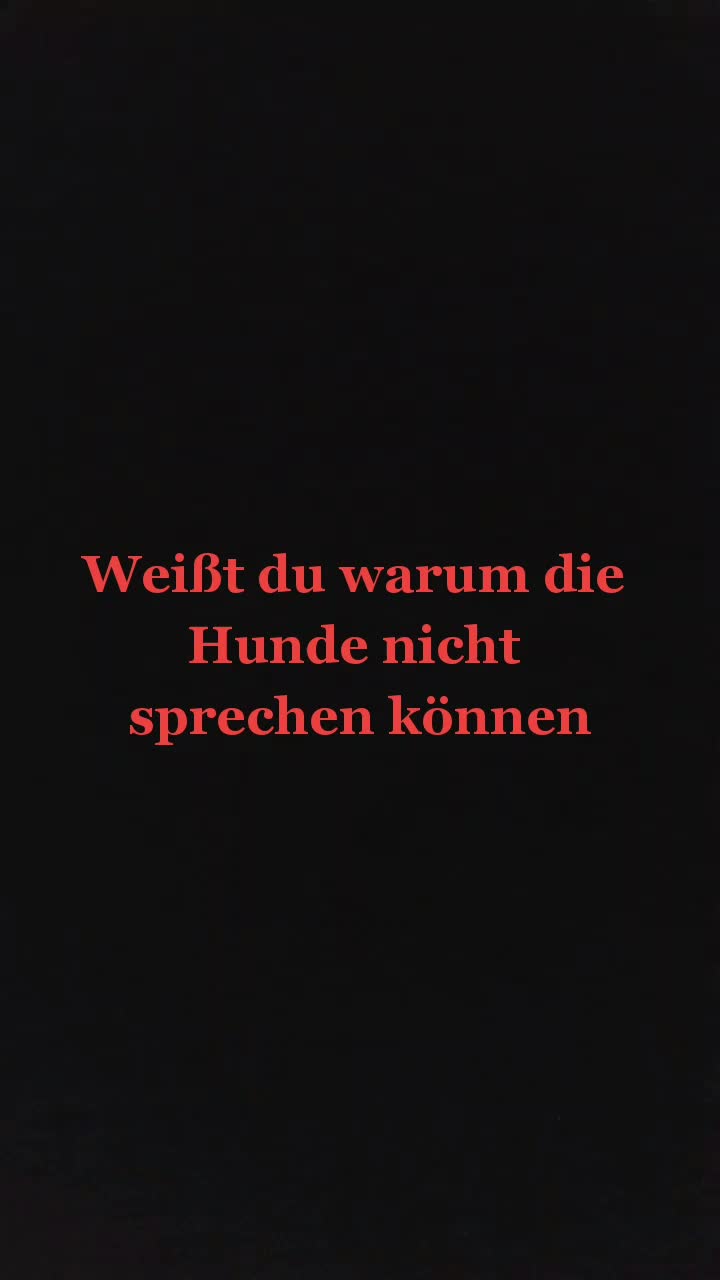 @hobbilos